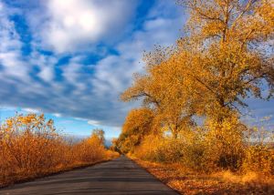 осінь